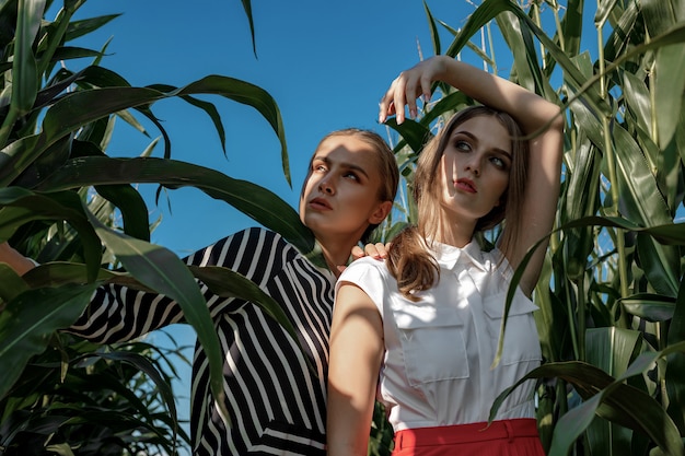 Portrait de deux jeunes femmes dans des vêtements élégants parmi le feuillage d'un champ de maïs