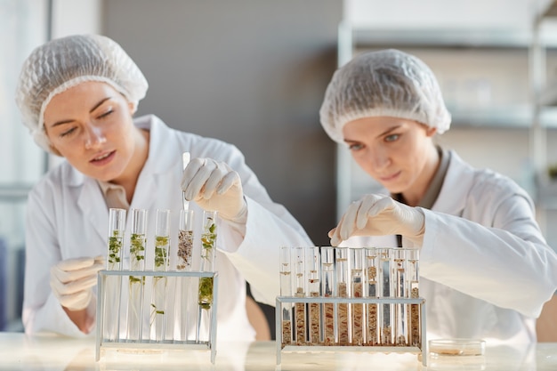 Portrait de deux jeunes femmes scientifiques travaillant avec des tubes à essai avec des échantillons de plantes tout en faisant des expériences en laboratoire de biotechnologie