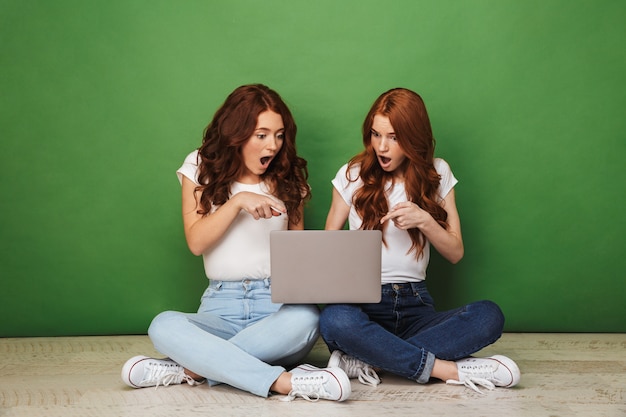 Portrait de deux jeunes filles rousses choquées