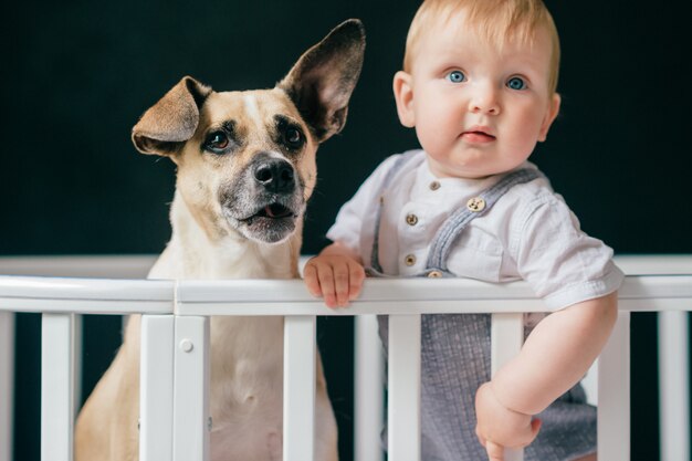 Portrait drôle de petit bébé garçon posant avec chiot au lit.