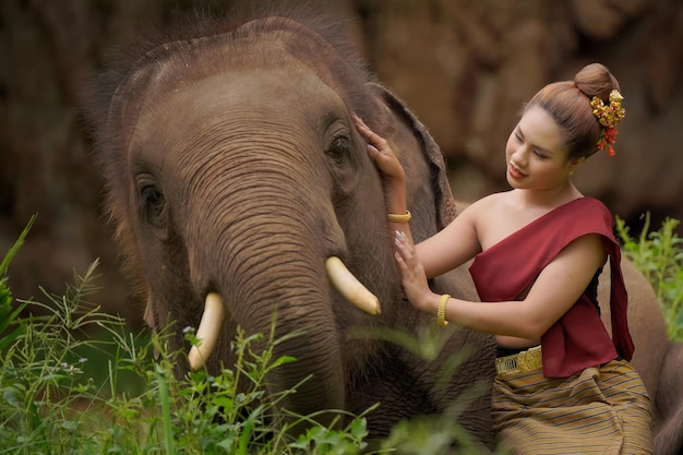 Portrait du mode de vie des gens et des éléphants dans le nord de la Thaïlande dans la province de Lampang