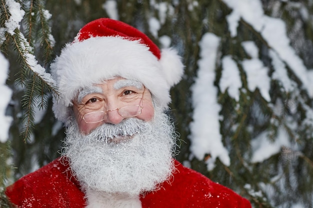 Portrait du Père Noël