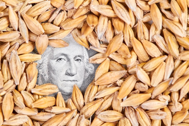 Portrait du président d'un billet d'un dollar en grains d'orge non pelés