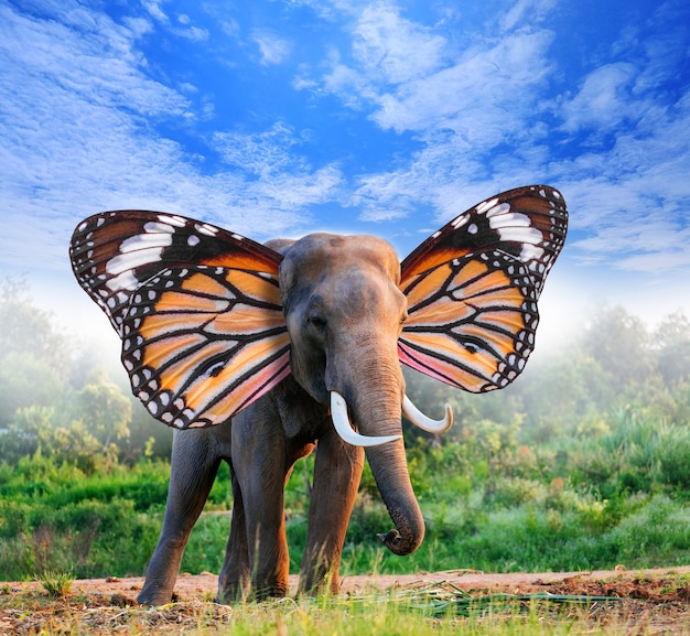 Photo portrait d'éléphant avec des ailes de papillon dans la forêt