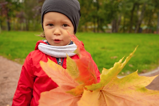 Photo portrait d'un enfant avec un bouquet de feuilles d'érable sur fond de nature d'automne dans le parc