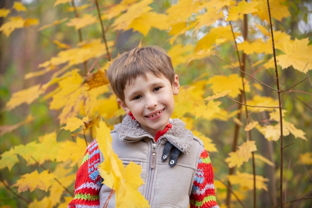 Portrait d'un enfant dans la forêt d'automne Enfant de six ans à l'automne