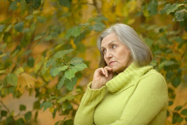 Portrait d'une femme âgée dans le parc d'été