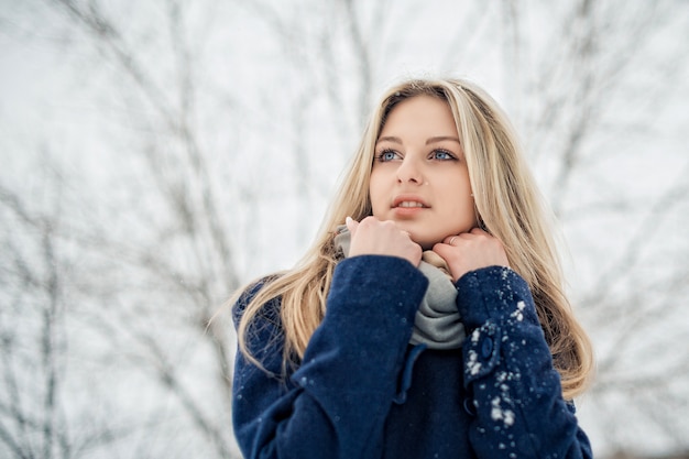 Portrait d'une femme avec du maquillage et une belle coiffure en hiver