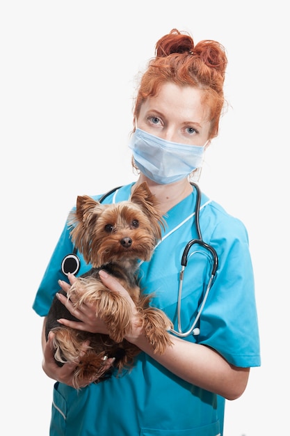 Portrait de femme médecin vétérinaire en uniforme médical avec chien dans les mains sur fond blanc isolé