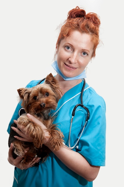 Portrait de femme médecin vétérinaire en uniforme médical avec un petit chien dans ses mains