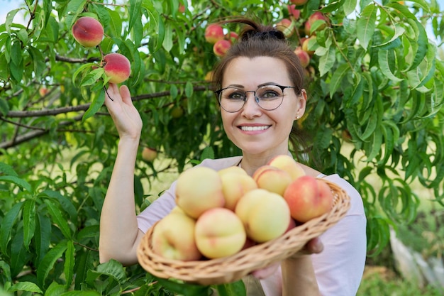 Portrait de femme souriante en tablier avec panier de pêches fraîches, arbre avec fond de pêches mûres. Jardin, ferme, culture de fruits biologiques naturels