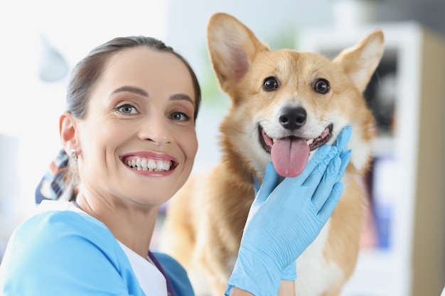 Photo portrait de femme vétérinaire souriante avec concept de clinique vétérinaire pour chien au gingembre