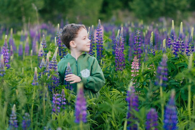 Portrait d'un garçon dans un champ d'été de lupin