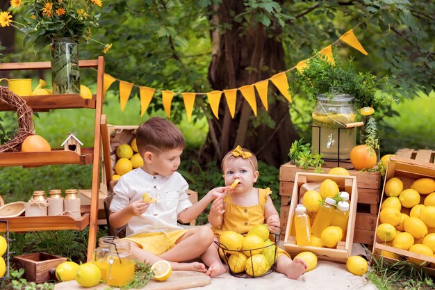 Portrait d'un garçon et fille heureux de manger des citrons et de boire de la limonade à l'extérieur