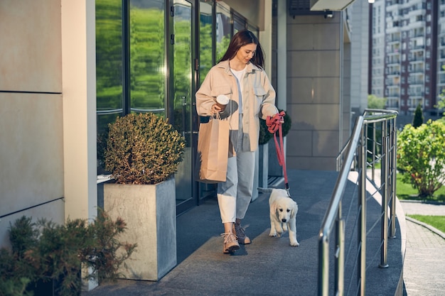 Photo portrait grandeur nature d'une jolie dame caucasienne heureuse avec des sacs à provisions regardant son chien