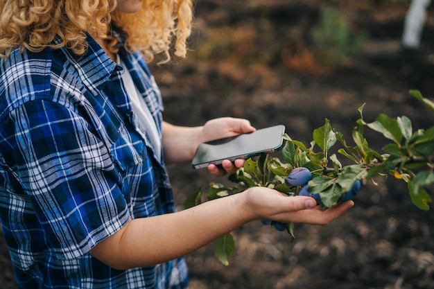 Portrait en gros plan d'une agricultrice avec téléphone dans un verger de pruniers utilisant des applications et Internet pour examiner la récolte Agriculture intelligente Agriculture intelligente utilisant les technologies modernes