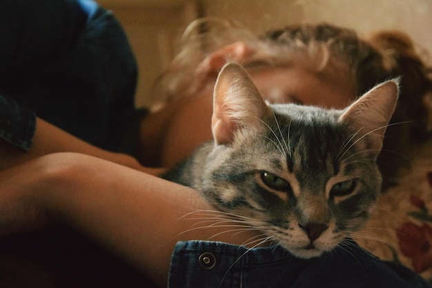Portrait en gros plan d'un chaton avec une femme en arrière-plan à la maison
