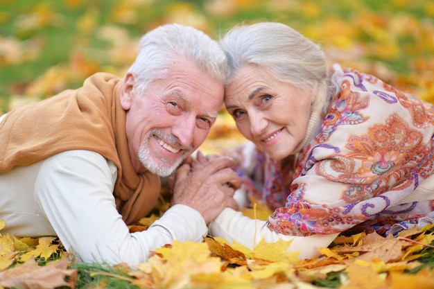 portrait, de, heureux, couples aînés, mensonge, dans parc