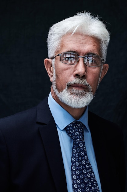 Portrait d'un homme d'affaires mature et confiant, avec un visage sérieux et des cheveux gris, isolé sur fond de studio, beau patron d'un homme de 60 ans en costume