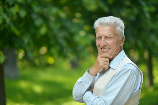 Portrait d'un homme âgé heureux dans le parc d'été