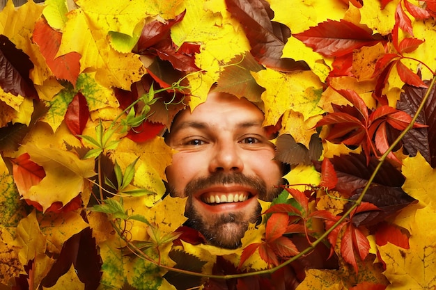 Portrait d'homme barbe automne conceptuel artistique Feuilles colorées Feuilles d'arbres autour d'un visage émotionnel L'automne arrive