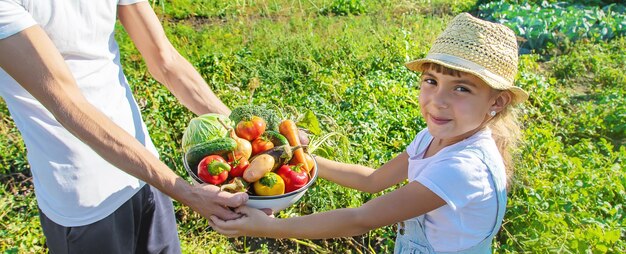 Photo portrait d'un homme tenant des fruits