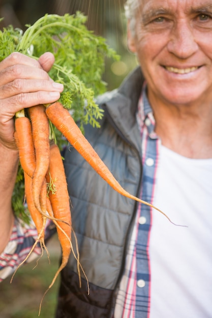 Portrait de jardinier heureux tenant des carottes au jardin