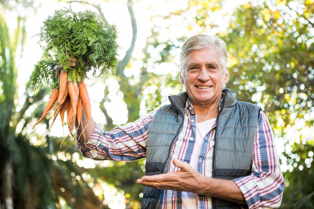 Portrait de jardinier mature avec des carottes à la ferme