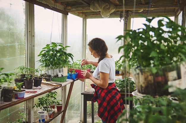 Portrait d'une jardinière heureuse profitant du temps passé dans une serre de maison de campagne pendant la culture de légumes