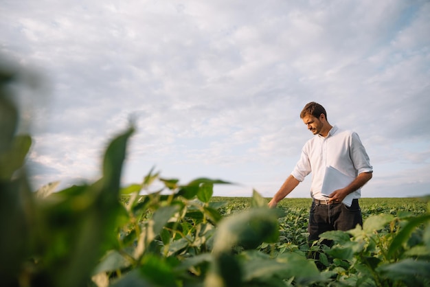 Portrait de jeune agriculteur debout dans un champ de soja.