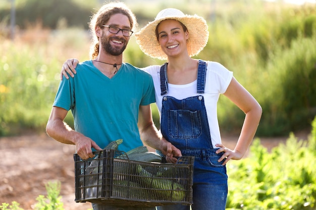 Portrait d'un jeune couple horticulteur tenant des légumes frais dans une caisse dans le jardin en regardant la caméra.