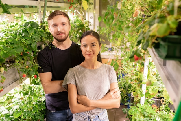 Portrait de jeune couple souriant dans des tenues décontractées debout avec les bras croisés dans sa propre petite serre avec des plantes à baies
