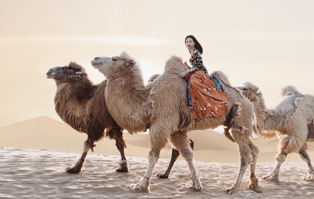 Portrait d'une jeune femme à cheval sur un chameau dans le désert contre le ciel