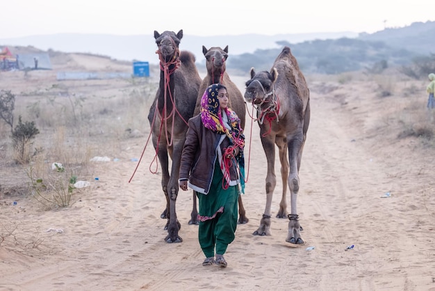 Photo portrait d'une jeune femme indienne du rajasthan en tenue traditionnelle colorée portant un chameau à pushkar