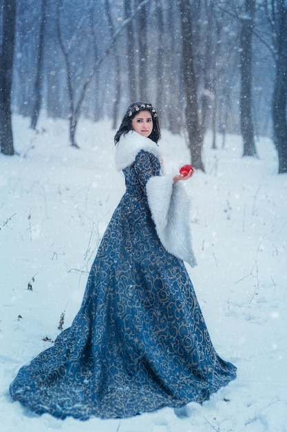 Portrait de jeune femme vêtue d'un manteau bleu. Elle marche dans la forêt d'hiver tenant un panier avec des pommes