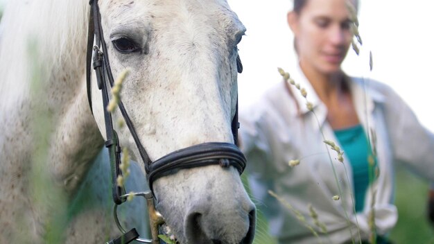 Portrait des jeunes femmes avec son cheval brun