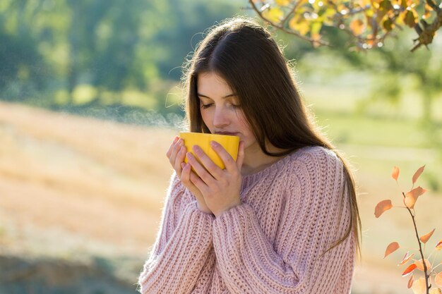 Portrait d'une jolie jeune femme en chandail tricoté élégant debout sur la forêt d'automne dorée par une journée ensoleillée