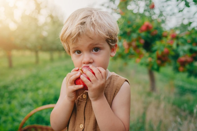 Portrait d'un mignon garçon tenant une crème glacée à l'extérieur