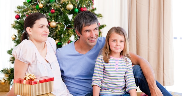 Portrait de Noël en famille