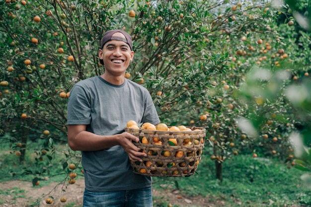 Portrait of happy male farmer récolte des fruits orange dans le champ d'oranger