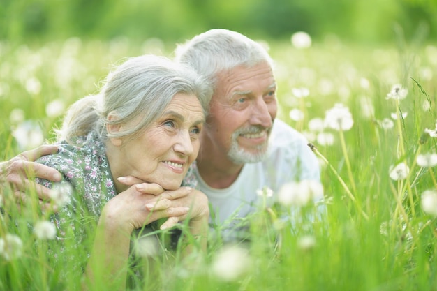 Portrait of happy senior couple allongé sur un pré vert