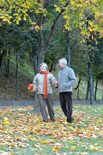 Portrait of happy senior couple in autumn park