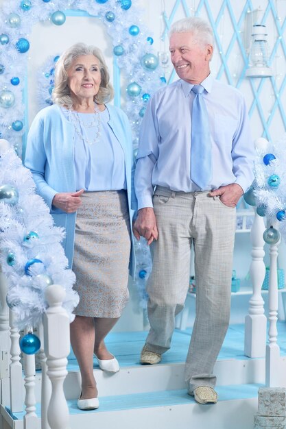 Portrait of senior couple avec décorations de Noël sur fond