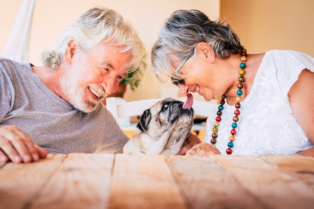 Portrait of senior mature caucasian people couple with funny pet pug dog s'embrassant et ayant