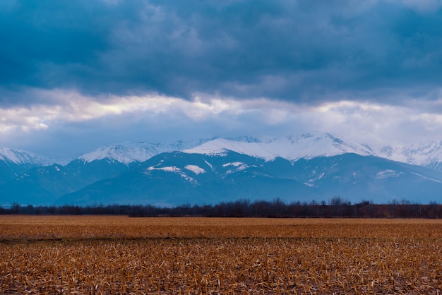 Portrait d'un paysage étonnant de montagnes enneigées en Roumanie