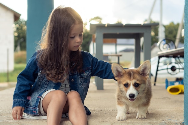 Portrait d'une petite fille sérieuse caressant la fourrure d'un incroyable chiot gallois pembroke corgi assis près d'un banc en bois dans la cour