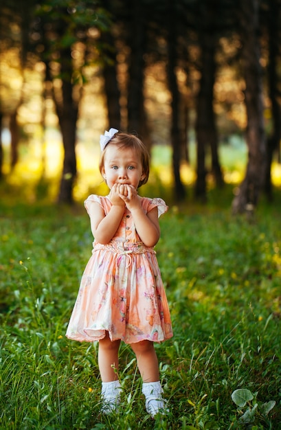 Portrait en plein air de l'adorable petite fille souriante en journée d'été
