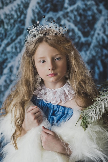 Portrait de la reine des neiges dans la forêt d'hiver 4567