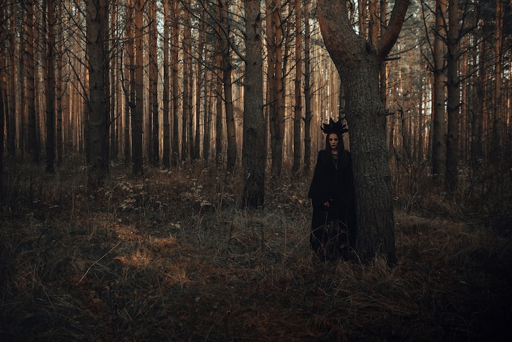 Photo portrait sombre d'une sorcière effrayante en costume noir dans les bois