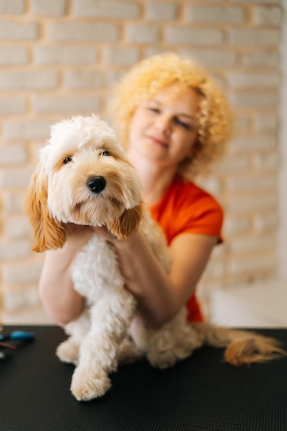 Portrait vertical de l'adorable chien Labradoodle bouclé assis à table avant le brossage et le cisaillement dans le salon de toilettage en regardant la caméra Souriante toiletteuse tenant une mise au point sélective pour animaux de compagnie obéissant